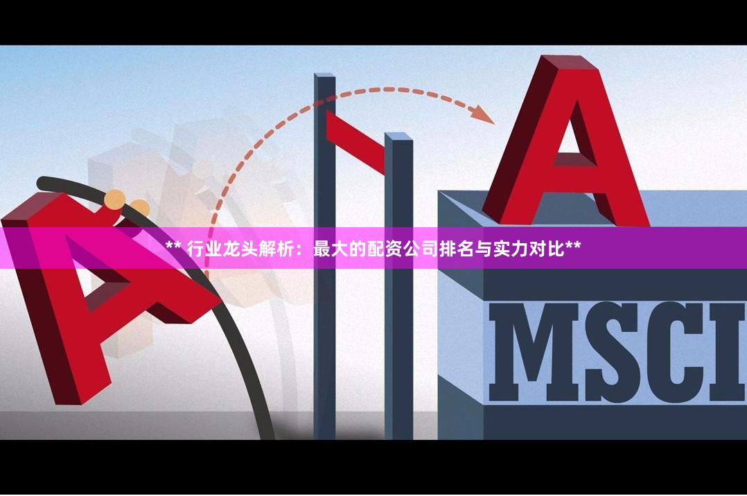 ** 行业龙头解析：最大的配资公司排名与实力对比**